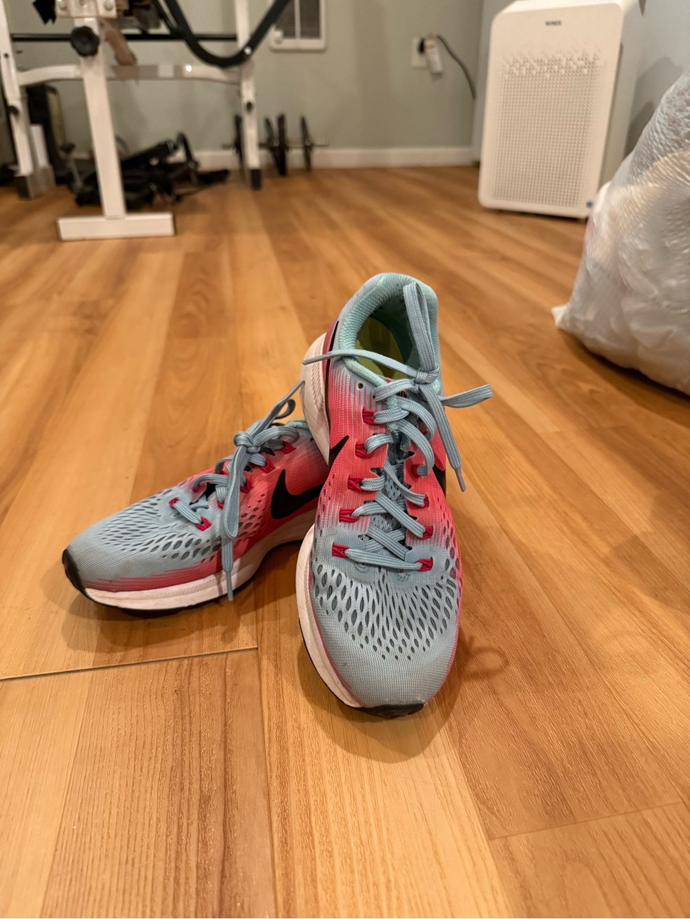 Nike Women's Blue and Pink Gradient Training Shoes
